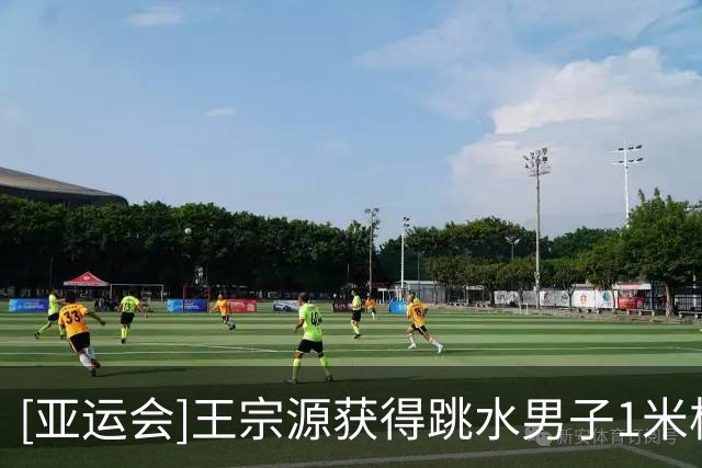 [亚运会]王宗源获得跳水男子1米板冠军